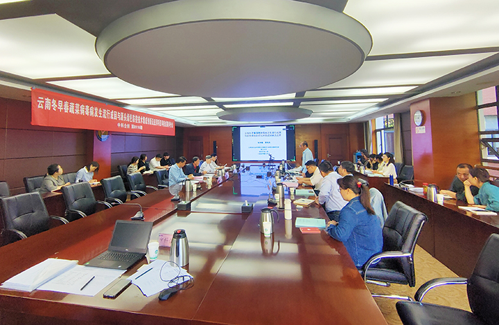 云南冬早春蔬菜病毒病发生流行成因与源头绿色防控技术集成创新及应用 anli.jpg